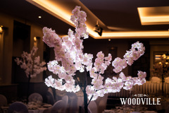 Woodville-Arms-56